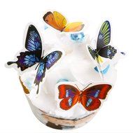 Winrase&reg; Pack of 50 Colorful Small Butterfly Party Decoration Cake and Cupcake Toppers N2
