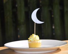Zaffron Silver Crescent Moon Cupcake Toppers and Party Picks (12 pack) N2