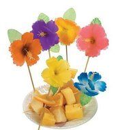 Hibiscus Picks - Set of 12 N2
