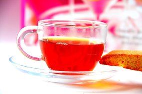 Teapot Set Glass Teapot Harmony with Infuser, 42oz/1242 Ml and Set of 2 Cups and Saucers, 5oz/150ml N3