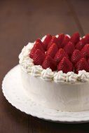 Type 18cm kai House SELECT preparative hole cake mold Kai bottom N3
