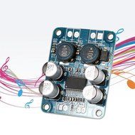 TPA3118 BTL 60W Mono Digital Audio Power Amplifier Board Module DC 12V-24V N3
