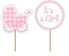 Creative Converting 93229 12 Count Baby Girl Gingham Decorative Cupcake Picks, Pink