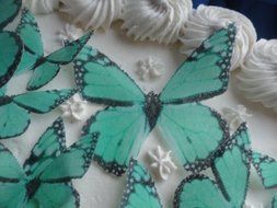 12 GREEN MONARCH BUTTERFLY Small Medium &amp; Large Edible Butterflies Assorted Set - Cake Decorations, Cupcake Topper... N3