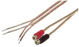 Microsound - 18 AWG 1-Feet Speaker wire pair with RCA Females - Black &amp; Red
