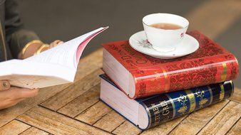 Novel Teas Collectible Classic Novels Metal Tea Tin Set. Vintage Tins Gift for Book Lovers and Librarians. Unique... N7
