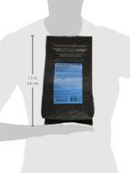 Metropolitan Tea 200 Count Pyramid Shaped Teabags, Buckingham Palace N5