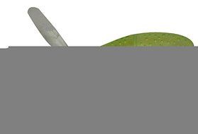 Viskey Creative Strawberry-shape Tea Ball Infuser, Pack of 2 N17