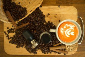 Premium Quality Coffee Espresso Tamper 100% Stainless Steel Base (49.6 mm) N8