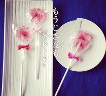 Wocuz 6 Cavity Swirl Lollipop Flower Shape Silicone Chocolate Candy Mold with Sticks 2pcs /Set N3