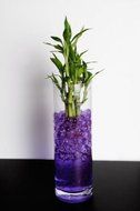 Rainbow Crystal Mud - Soil Beads - Colorful Soil Replacement for Flower Succulents and Centerpieces (Purple) N8