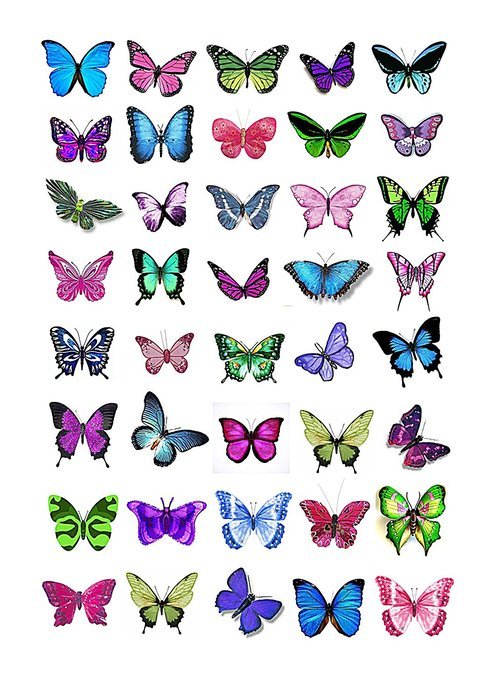 Cakeshop 40 x Mixed Colour Butterflies Edible Cake Toppers