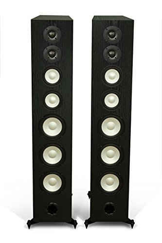 M100 Floorstanding Speaker - Black Oak