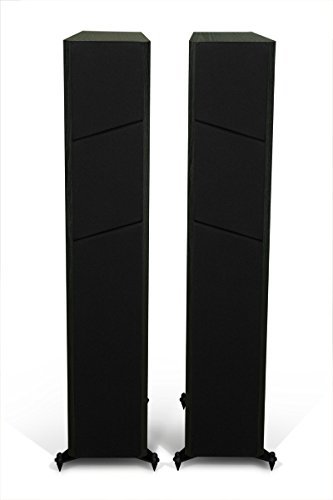 M100 Floorstanding Speaker - Black Oak N2