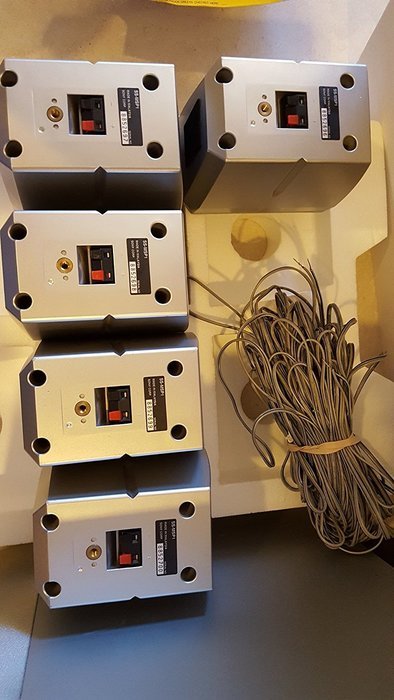 Sony Home Theater Speakers SA-VE11P 5 small & 1 Subwoofer