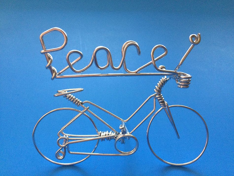 Handmade Personalized Gifts For Cyclists ~Add Your Own Name on Bicycle as Personal Creations Ornaments ~Custom... N18
