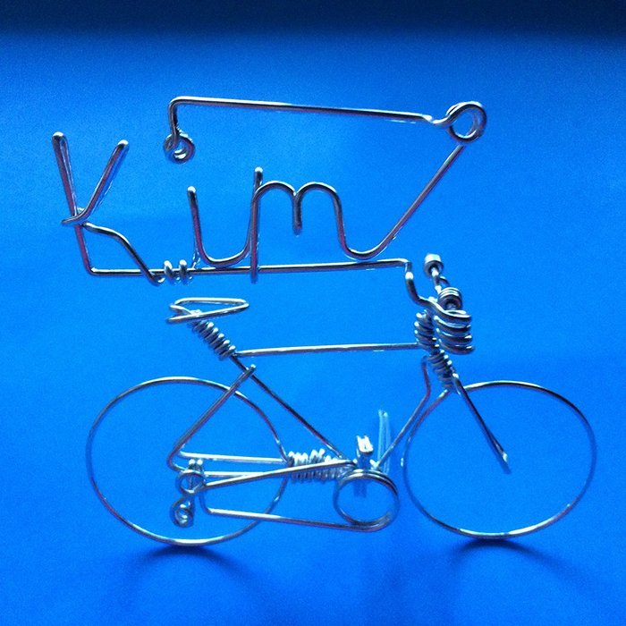 Handmade Personalized Gifts For Cyclists ~Add Your Own Name on Bicycle as Personal Creations Ornaments ~Custom... N20