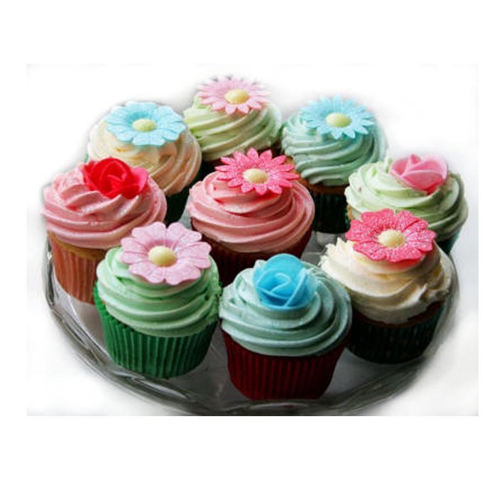 God's Kitchen Cake Decoration Set with Piping and Set of 8 Nozzles, Use for Pastry, Cake, Cupcakes, Icing, Beautiful... N7