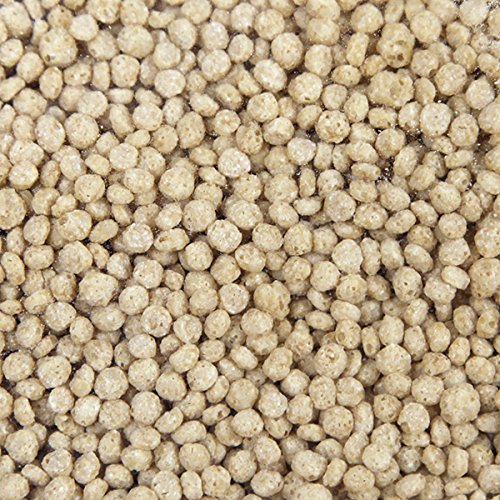 Tiny Crisp Rice 4.5 Ounces N2