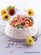 Silikomart Silicone Fancy and Function Bakeware Collection Cake Pan, Springlife N2