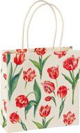 Boston International Gift Bags, Small, Winter Eddie, Pack of 12 N7