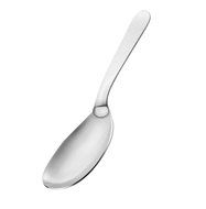 Motta Stainless Steel Serving Spoon