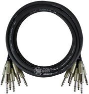 Vintage King Premium 8-Ch TRS-TRS -5'