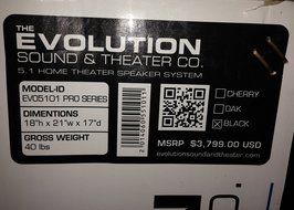 Evolution Sound and Theater - PRO Series EVO5101 - Black