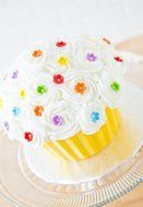 Giant Cupcake Pan N4