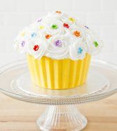 Giant Cupcake Pan N5