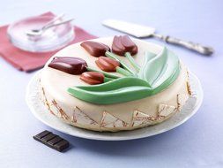 Silikomart Silicone Fancy and Function Bakeware Collection Cake Pan, Springlife N5