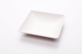 Bagasse Egg Shaped Tasting Dish 100 count box N8