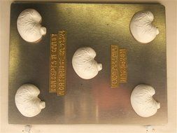 Stomach Digestive system pieces H163 Halloween Chocolate Candy Mold