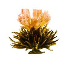 Tea gift Glass Teapot Duo, 16oz/470ml with Fab Flowering Tea (2 Blooms) N20