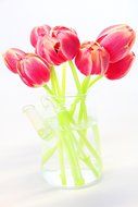 Tea gift Glass Teapot Duo, 16oz/470ml with Fab Flowering Tea (2 Blooms) N21