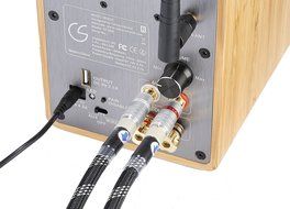 Celsus Sound SP-One active wireless bookshelf speaker with premium bamboo cabinet and carbon fiber speaker N3