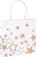 Boston International Gift Bags, Small, Winter Eddie, Pack of 12 N10