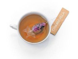 Goldfish Tea Bag (Single Bag, "Champagne" Oolong)