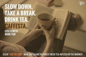 Caff&egrave;sta Stainless Steel Loose Leaf Tea Infuser with Silicone Grip Lid N6