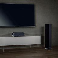 Definitive Technology BP9060 High Power Bipolar Tower Speaker with Integrated 10" Subwoofer - Pair (Black) N3