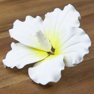 Hibiscus, White with Yellow, Large 9 Count by Chef Alan Tetreault