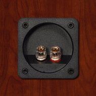 M60 Floorstanding Speaker - Boston Cherry N4