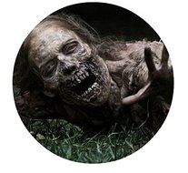The Walking Dead Zombie TWD Edible Image Photo Cake Topper Sheet Personalized Custom Customized Birthday Party... N2