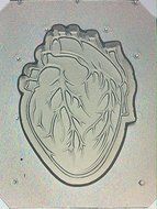 Flexible Resin or Chocolate Mold Anatomical Heart