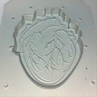 Flexible Resin or Chocolate Mold Anatomical Heart N3