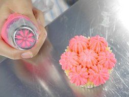 Joinor 13PCS Stainless Steel 304 Russian Piping Tips Reusable Pastry Icing Bags Nozzle Coupler Set ( Includes:... N5