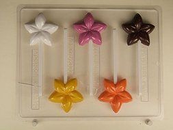 Plumeria (medium flower), Tropical, Lollipop, AO202 All Occasion Chocolate Candy Mold