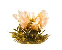 Tea gift Glass Teapot Duo, 16oz/470ml with Fab Flowering Tea (2 Blooms) N32