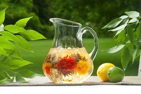 Tea gift Glass Teapot Duo, 16oz/470ml with Fab Flowering Tea (2 Blooms) N39