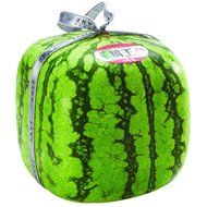 Melonmold Square Watermelon Mold for Making Cubed Watermelons N4